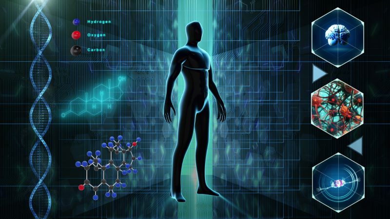 Body composition, brain and DNA.